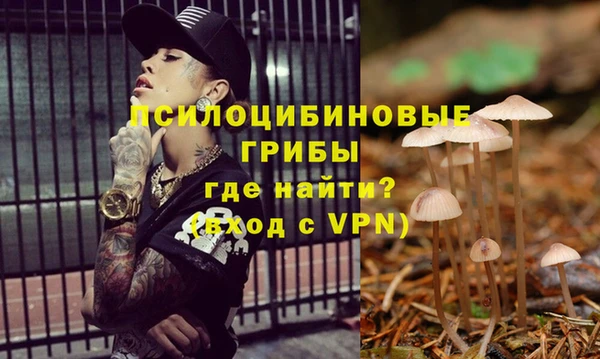 сатива Волоколамск